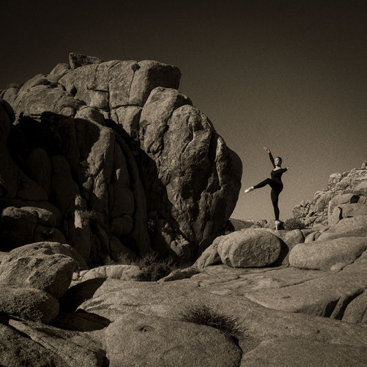 En Pointe on Rock