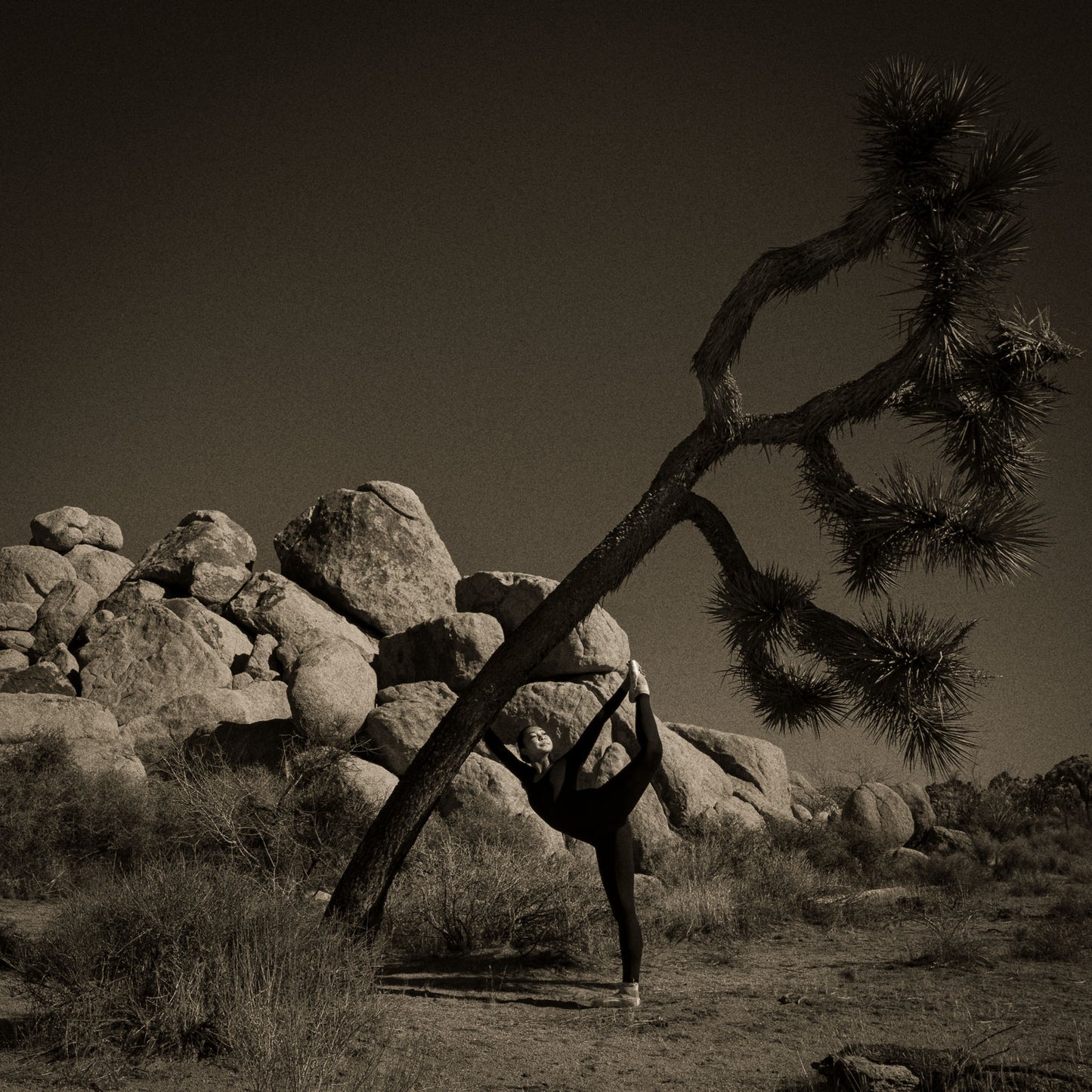 En Pointe with Leaning Tree