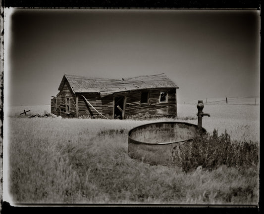 Homesteader’s Cabin