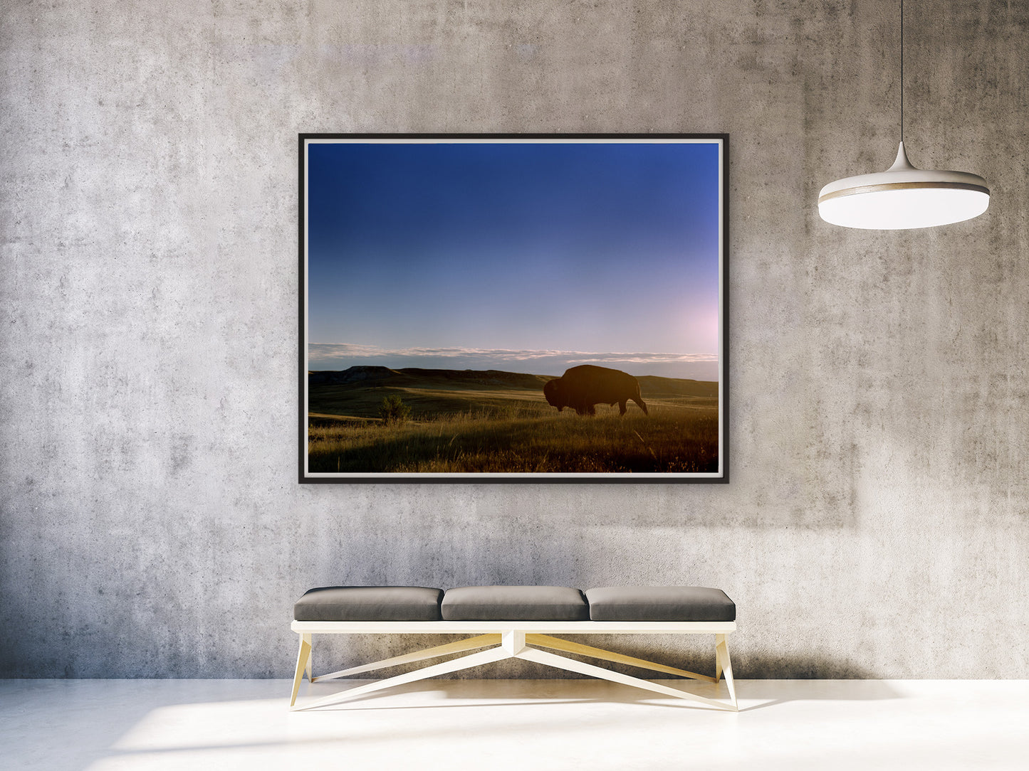 Bison in First Light