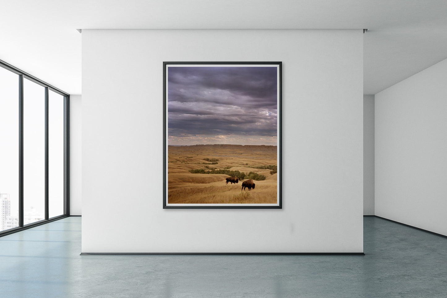 Two Bison Grazing