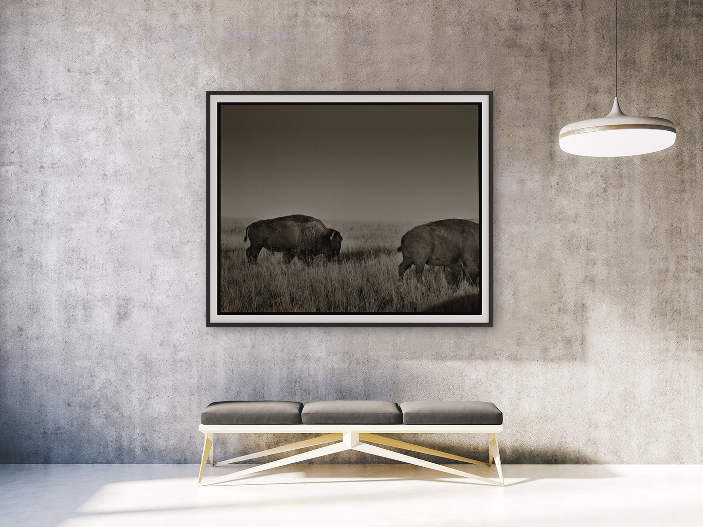 One and a Half Bison