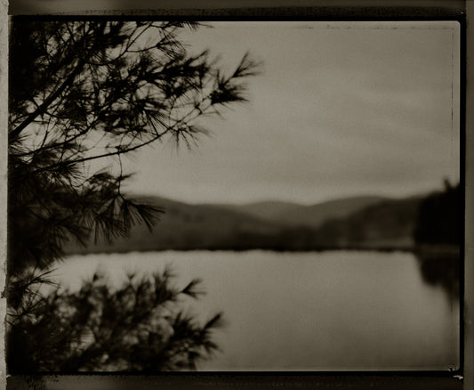 Coniferous with Pond