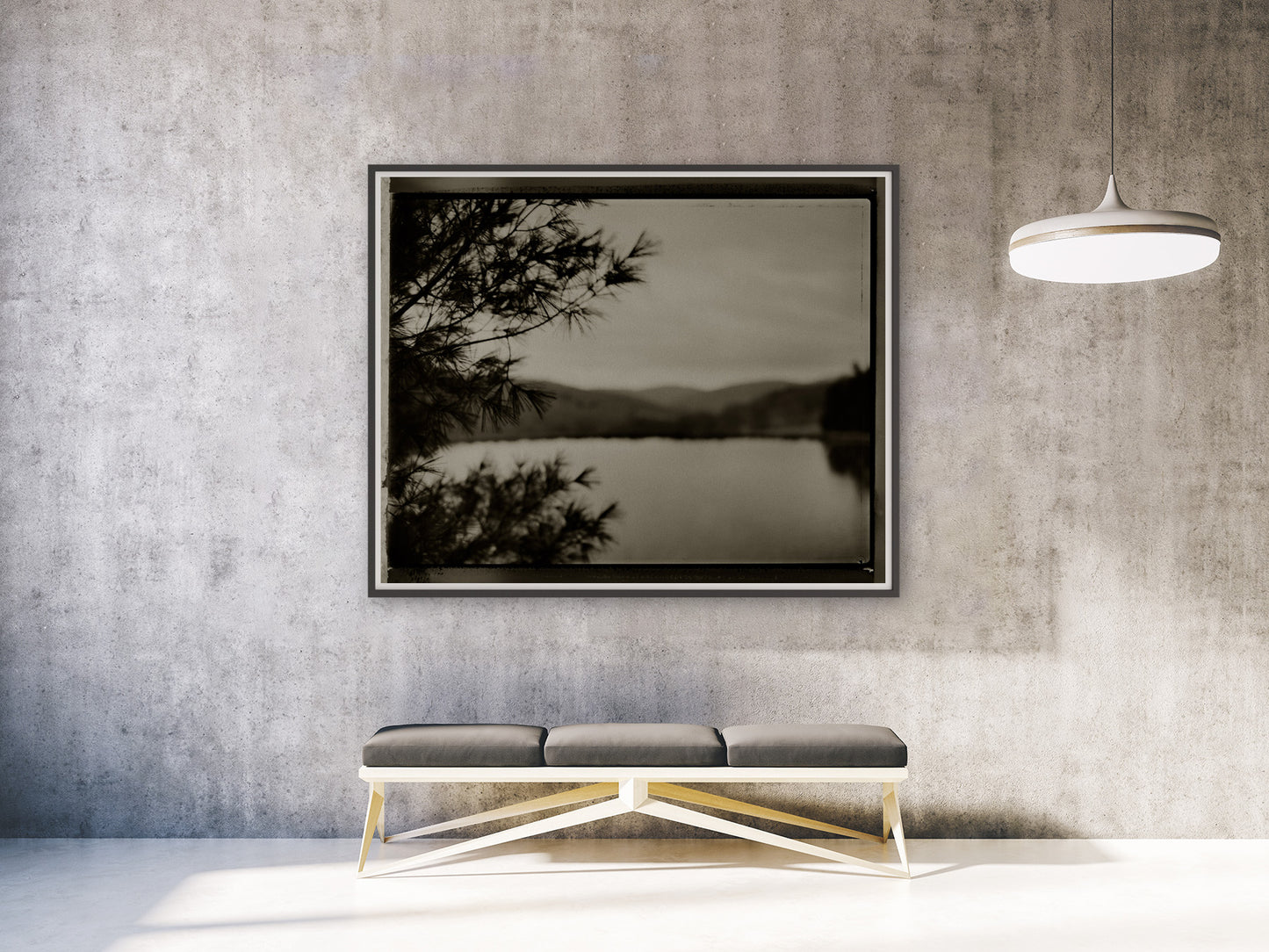 Coniferous with Pond
