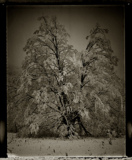 First Snowfall
