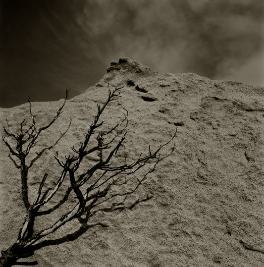 Burnt Tree Against Rock, Snow Creek