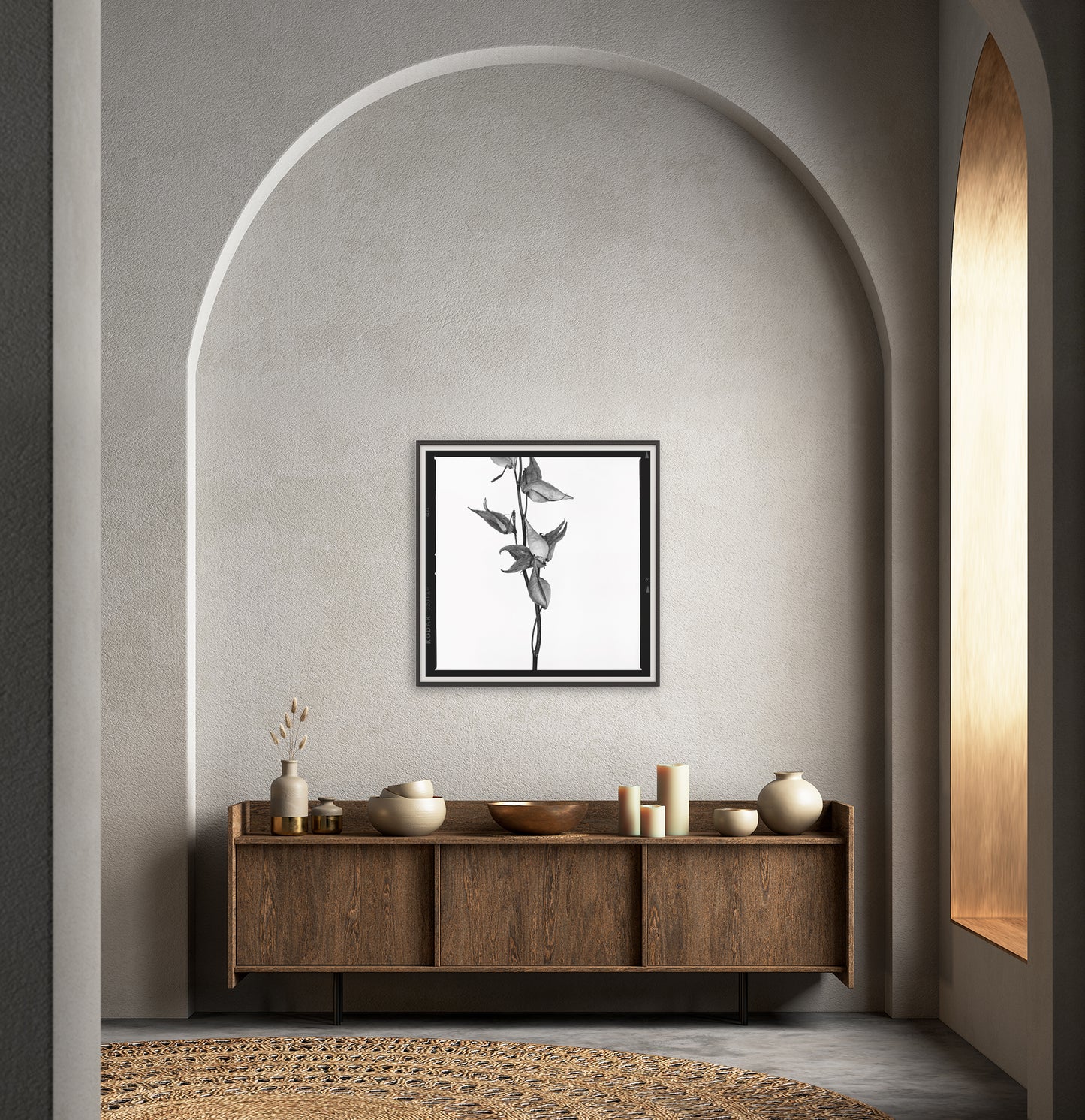 Dried Milkweed on White
