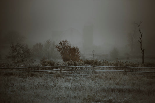 Frosted Fence With Silo