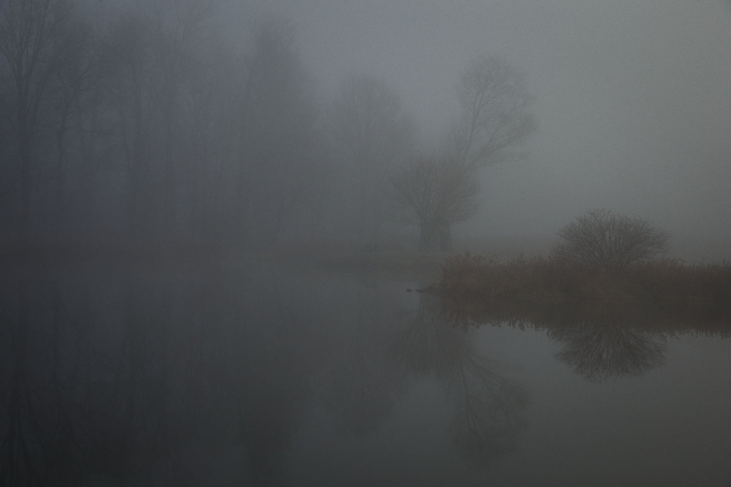 Autumnal Pond