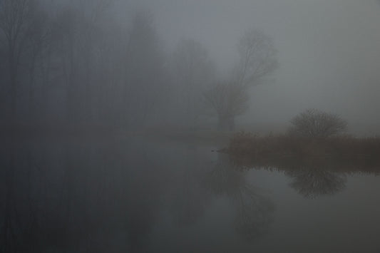 Autumnal Pond