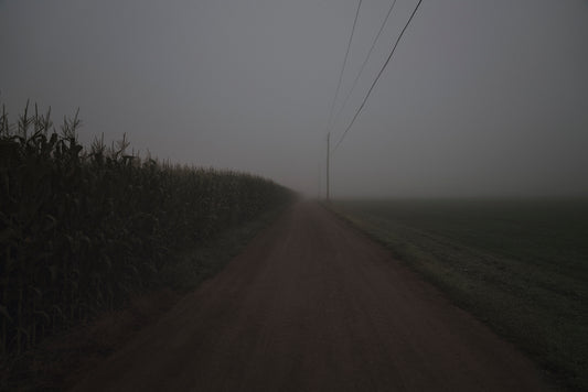Corn with Telephone Wire