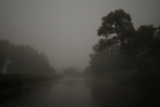 River with Tree