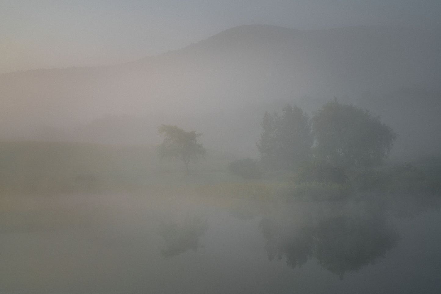 Pink Mist with Trees and Cowan Mountain