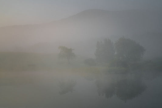 Pink Mist with Trees and Cowan Mountain