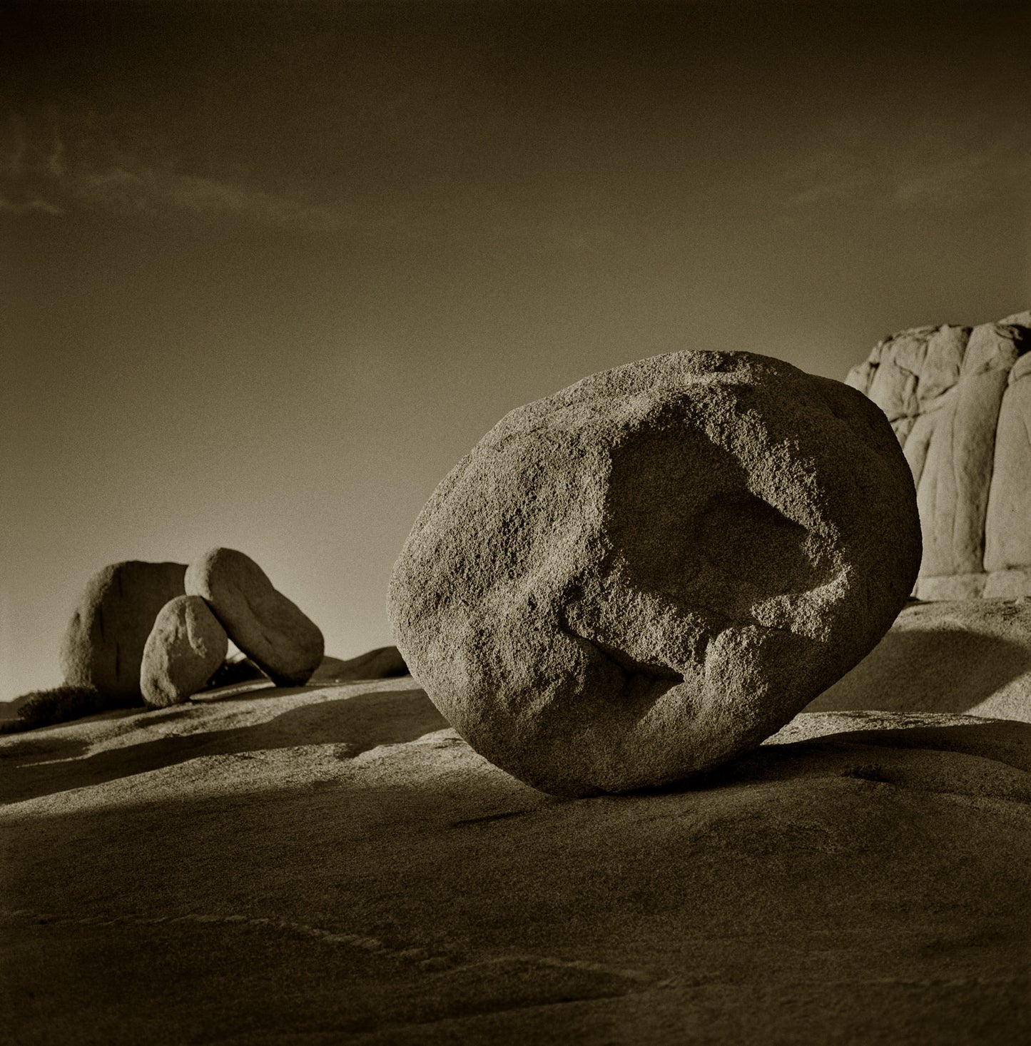 Giant Boulder with Three Cubs