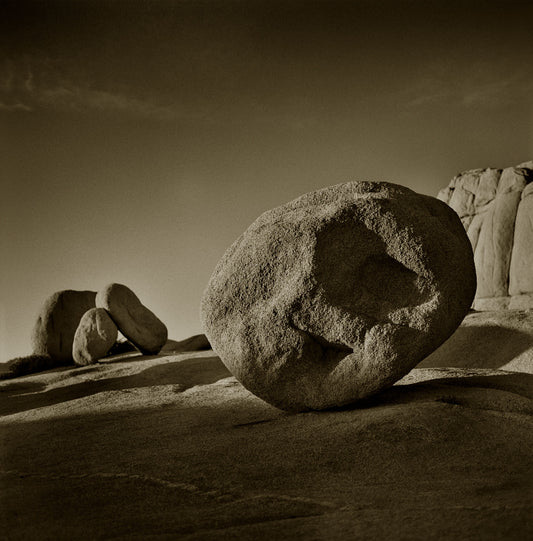 Giant Boulder with Three Cubs