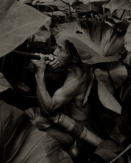 Penan Hunter with Blow Pipe, Borneo