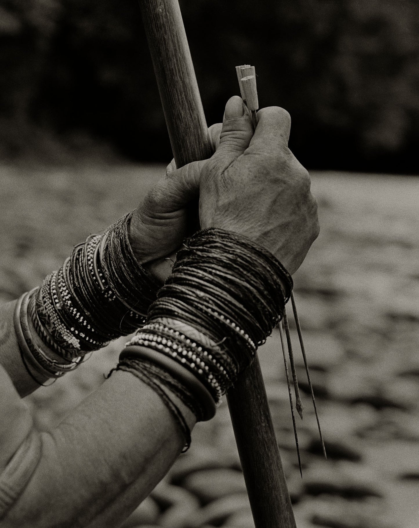 Penan Hands with Poison Darts, Borneo