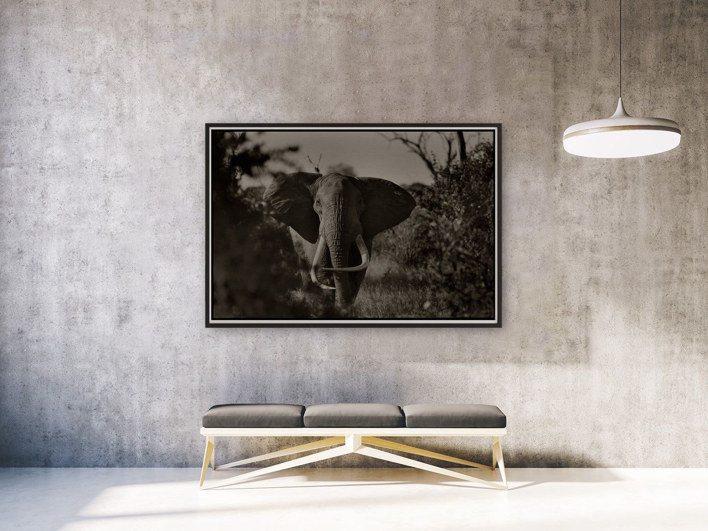 Elephant Portrait II (Horizontal)