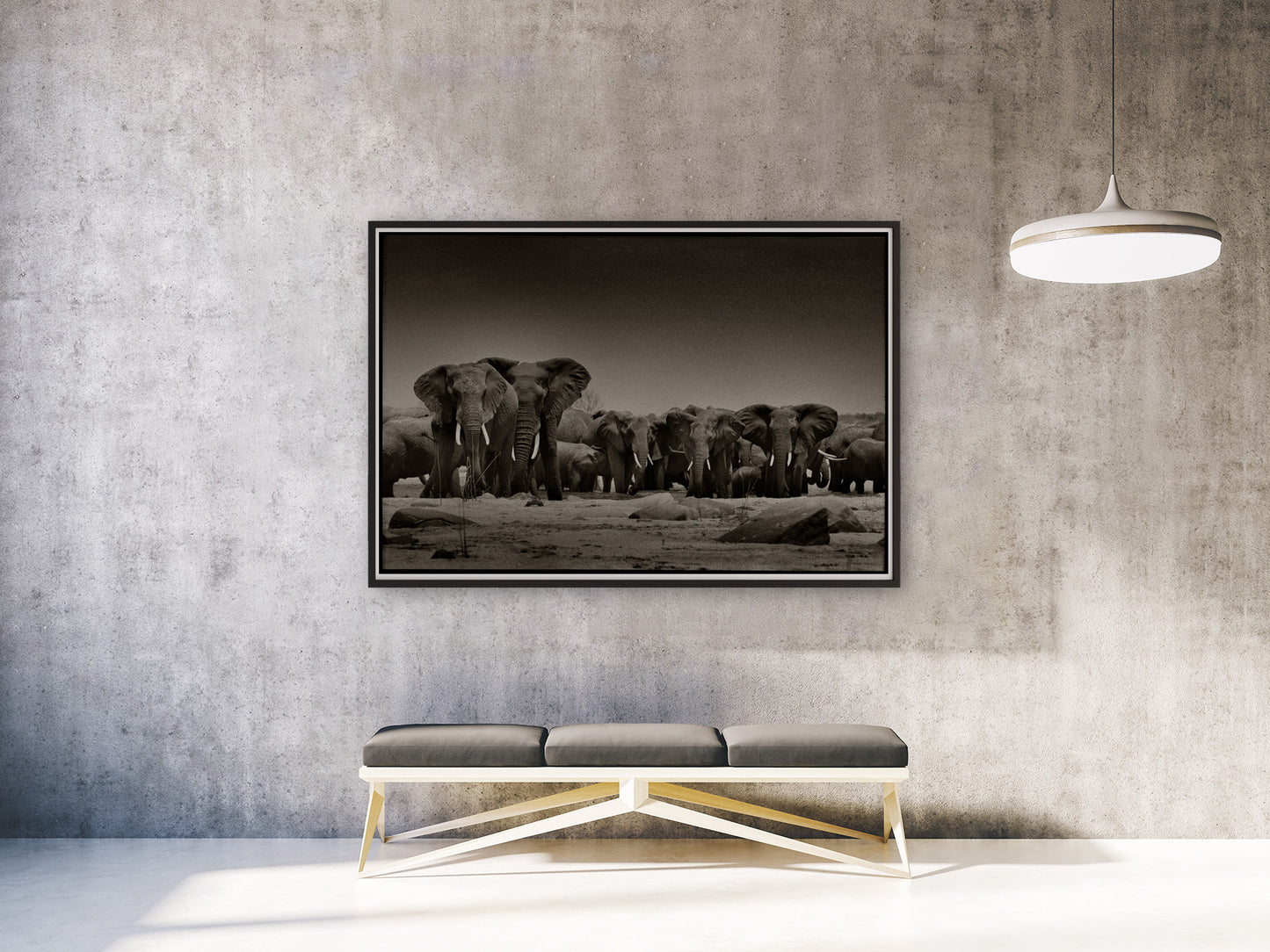 Greeting The Herd II