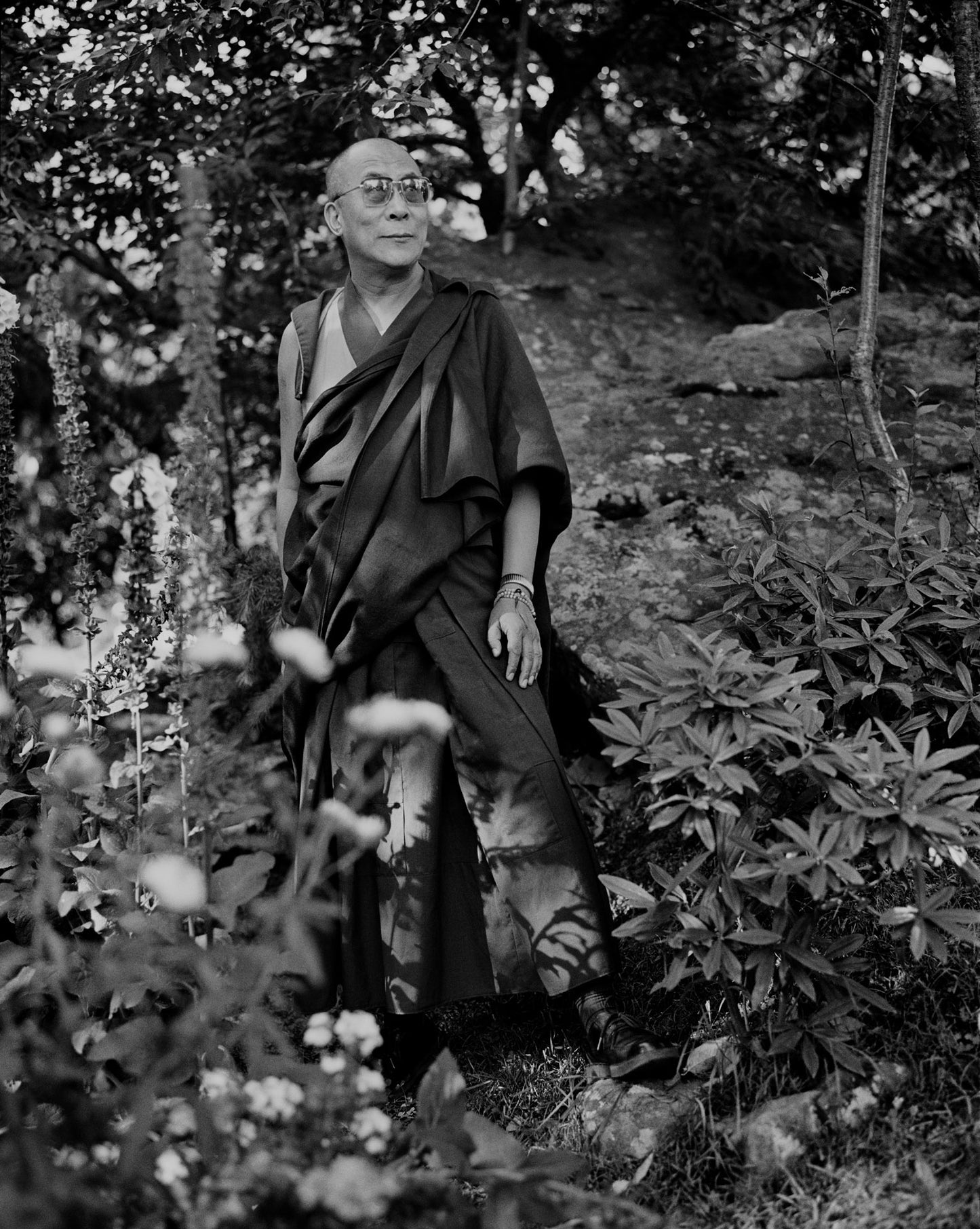 Dalai Lama in his Garden