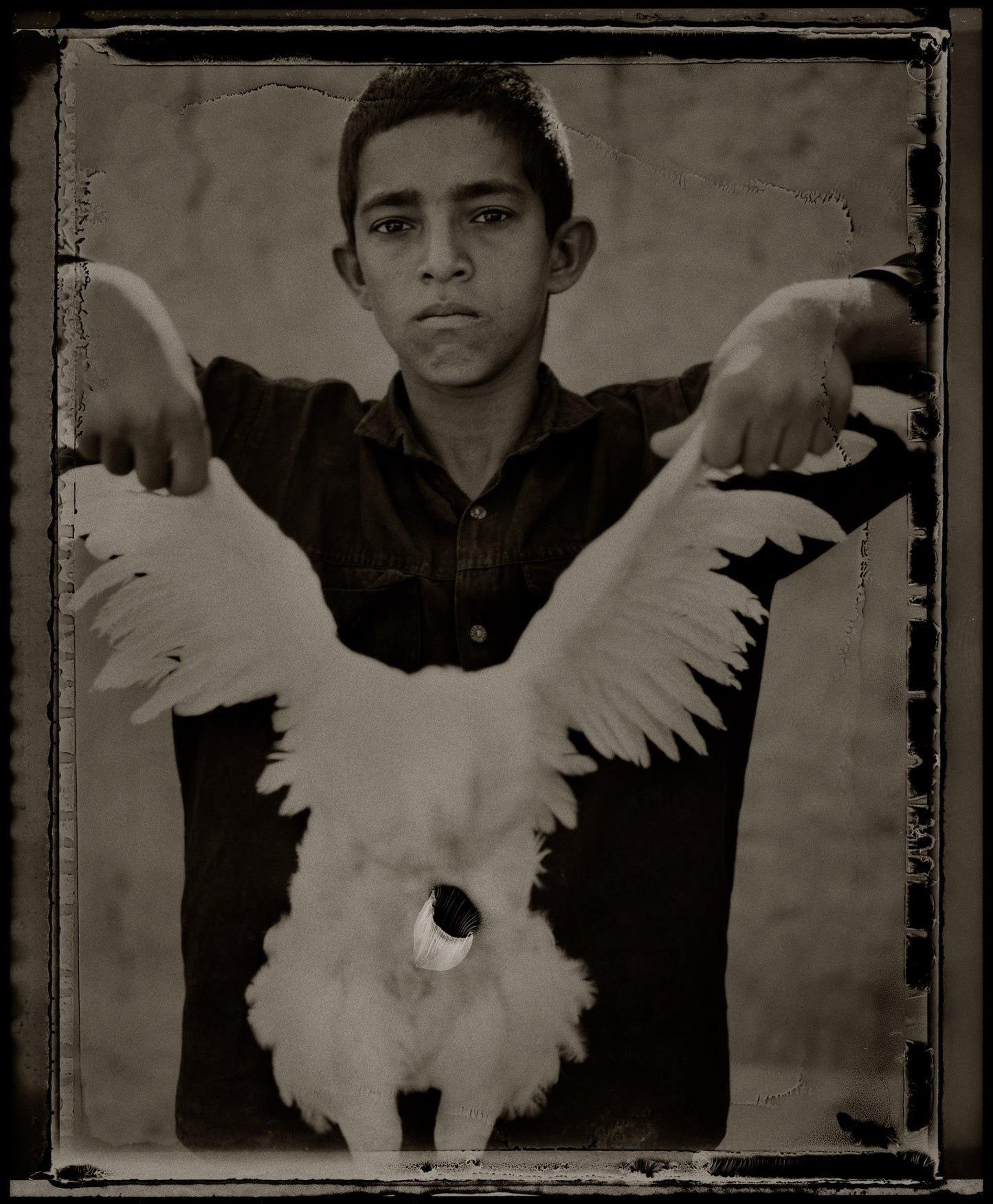 Chicken Boy, Iran