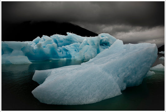 Icebergs and Seagulls, Alaska